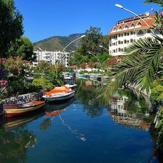 several boats are docked on the water in front of buildings and palm trees, with mountains in the background