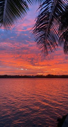 the sun is setting over water with palm trees