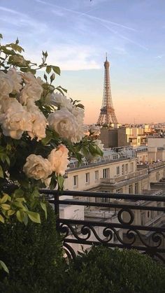 the eiffel tower towering over paris is seen in the distance from this balcony