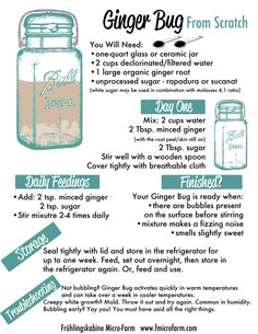 a recipe for ginger bug from scratch with instructions on how to make it in a mason jar