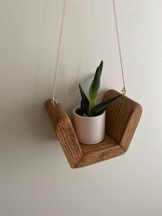 a small potted plant hanging from a wooden shelf on a wall with a chain