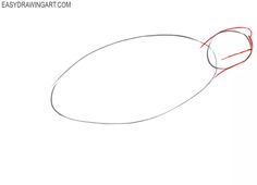 how to draw an oval object with a pencil step by step instructions for beginners