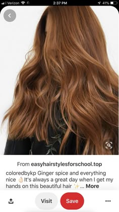 Ginger Ash Hair, Copper Hair Gloss, Red Hair Glaze, Medium Golden Copper Hair, Blake Lively Red Hair, Ginger Spice Hair, Ginger Brunette Hair, Golden Copper Hair, Natural Red Hair