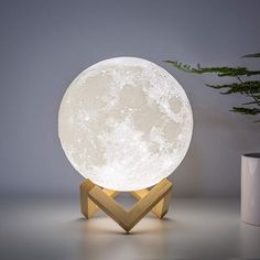 the moon lamp is next to a potted plant