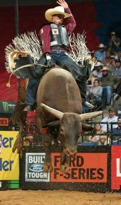 a man riding on the back of a bull