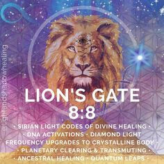 the poster for lion's gate 8 8, which features an image of a lion