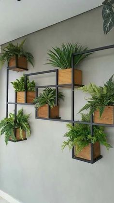 a wall mounted planter filled with lots of green plants