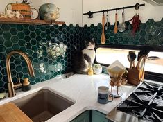 a cat sitting on top of a kitchen counter next to a sink and stovetop