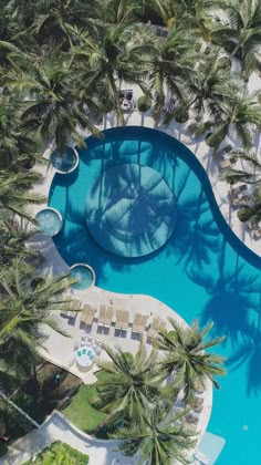 an aerial view of a resort pool surrounded by palm trees