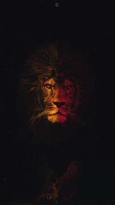 a lion is shown in the dark with its head turned to look like it's looking