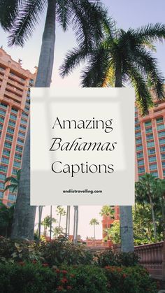 Looking for amazing Bahamas captions? Whether you're lounging on Nassau’s pristine beaches, swimming with pigs in Exuma or exploring vibrant coral reefs, these captions will perfectly complement your Bahamian adventure. From turquoise waters to sunny island vibes, find the perfect words to capture the beauty and magic of the Bahamas. Share your unforgettable moments in this tropical paradise with captions that reflect its laid-back charm and breathtaking scenery! Swimming With Pigs, Quotes For Instagram, Captions For Instagram, Coral Reefs, Island Vibes, The Bahamas