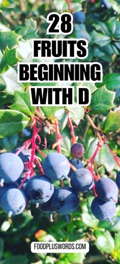 berries growing on the tree with text overlay that reads 28 fruits beginning with d