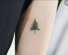 a small pine tree tattoo on the arm