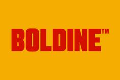 the logo for boldline is shown in red and yellow colors on an orange background