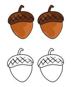 two acorns and an acorn on a white background