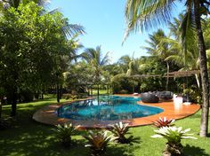 a pool surrounded by lush green trees and plants