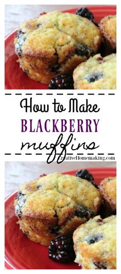 blueberry muffins on a red plate with the words how to make blackberry muffins