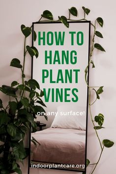 Make your home look like a work of art by using plant vines to create designs on your wall. Here's how to easily hang plant vines. Check out these hanging plant vine tips! #indoorgarden #gardening Plant Vines On Wall, Vines On Wall, Indoor Plant Care Guide, Plant Vines, Diy Household Tips, Hanging Plants Indoor, Hanging Vines, Growing Plants Indoors, Indoor Plant Care