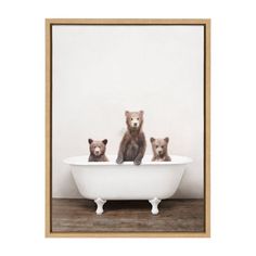 three bears are sitting in a bathtub with white walls and wood flooring, one is looking at the camera