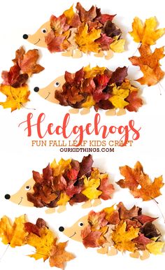 Paper Plate Fall Leaf Hedgehog Craft Fall Leaf Hedgehog Craft, Paper Plate Autumn Craft, Crafts With Leafs For Kids, November Montessori Activities Toddler, Leaf Pumpkin Craft, Autumn Animal Activities, Fall Crafts For 1 Yo, Kids Harvest Crafts, Crafts For Preschoolers Fall