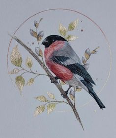 a drawing of a bird sitting on a branch with leaves and flowers in the background