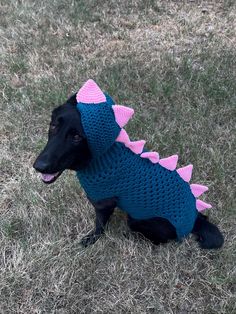 a black dog wearing a knitted sweater with pink spikes on it's back