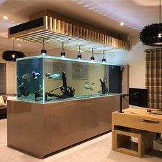 an aquarium in the middle of a living room filled with furniture and lighting on top of it