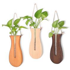 three wooden vases with plants in them on a white background, one is hanging from the wall