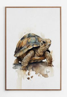 a watercolor painting of a tortoise on a white wall with a wooden frame