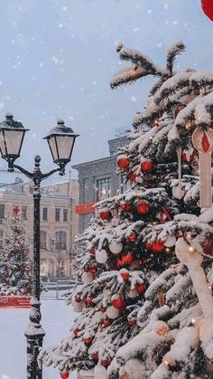 a christmas tree in the middle of a snowy street with lights and decorations on it