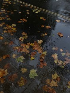 an umbrella and some leaves on the ground in front of a street with traffic lights