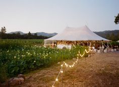 an outdoor tent with string lights in the grass