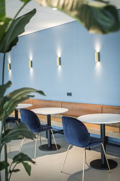 three white tables and two blue chairs in a room with plants on the wall behind them