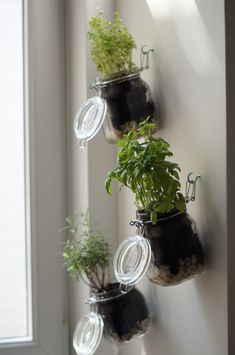 three hanging planters with plants in them on the side of a window sill