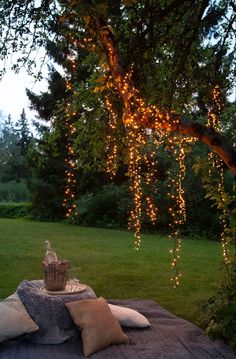 a picnic table with pillows and lights hanging from the tree over it's head