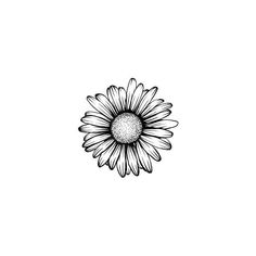 a black and white drawing of a flower