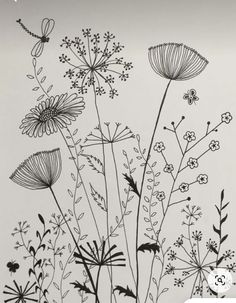 black and white drawing of wildflowers with dragonflies on the top one side