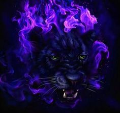 a black tiger with purple and blue flames on it's face, in front of a dark background