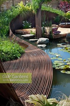 an outdoor garden with water lilies and plants