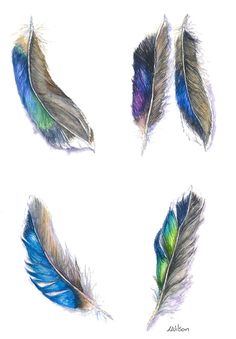 four colored feathers are shown in different shapes and sizes, including one blue green yellow and white