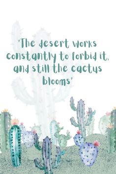 the desert works constantly to robb it, and still the cactus blooms quote on white background