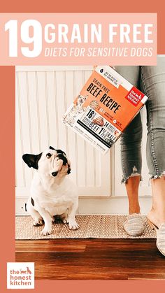 a small dog sitting on the floor next to a person holding a book in their hand