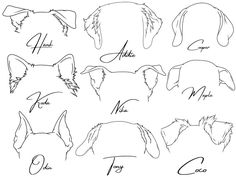 an animal's head with the names of its main breeds and their name written in cursive writing