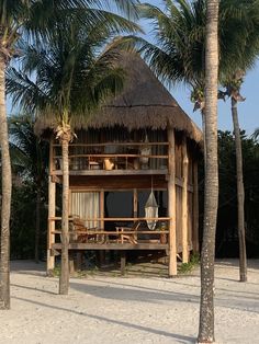 a hut on the beach surrounded by palm trees