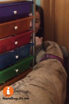 a girl and her dog are peeking out from behind a stack of drawers with their faces close to each other