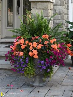 two potted plants sitting on the side of a building