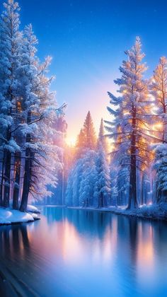 a lake surrounded by snow covered trees in the middle of a forest at night time