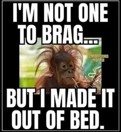 an orangutan with the caption i'm not one to brag but i made it out of bed