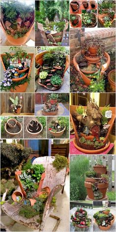 a collage of many different plants in pots