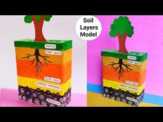 two boxes with trees and soil layers on them